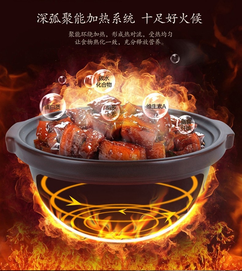 天际电砂锅DSG-TZ30产品图