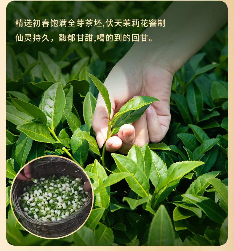 吴裕泰茉莉花茶 特种全芽茶叶茉莉绿茶新茶八窨纯芽花草茶礼品招牌1887 吴裕泰1887新款120g detail image 7