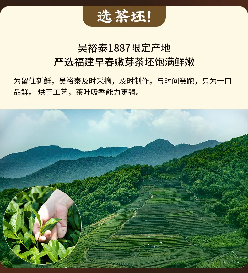吴裕泰茉莉花茶 特种全芽茶叶茉莉绿茶新茶八窨纯芽花草茶礼品招牌1887 吴裕泰1887新款120g detail image 12