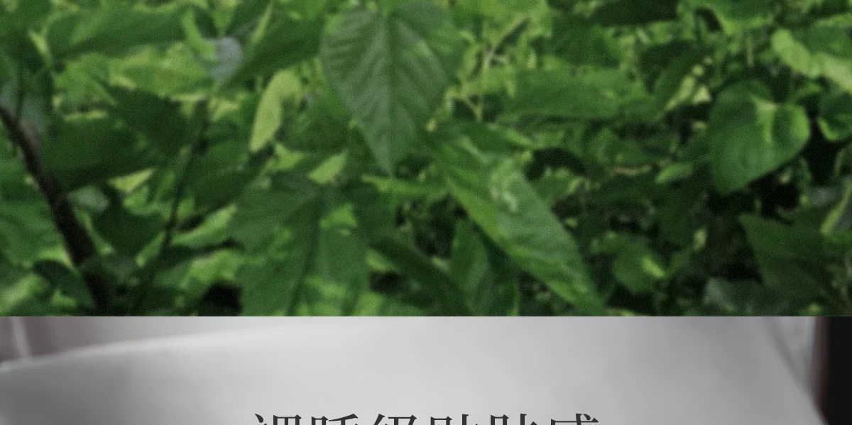 万事利 100%桑蚕丝真丝床品四件套 床单被套丝绸真丝被套礼品 清梦 220cm×240cm 详情图 22