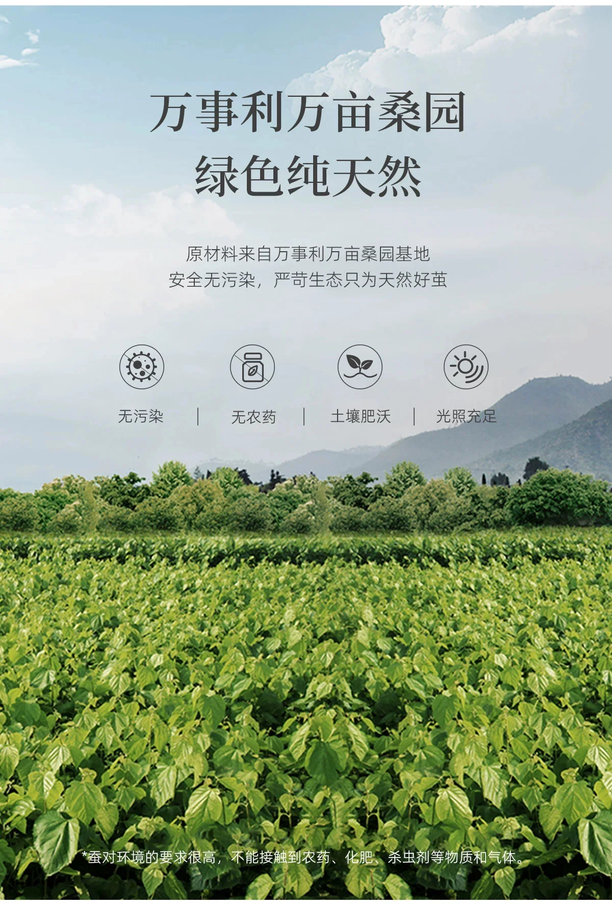 【中国直邮，时效8-20天】万事利 100%桑蚕丝低敏蚕丝被 立体提花四季被 万事顺意蚕丝被 220*240cm（1500g） 详情图 10