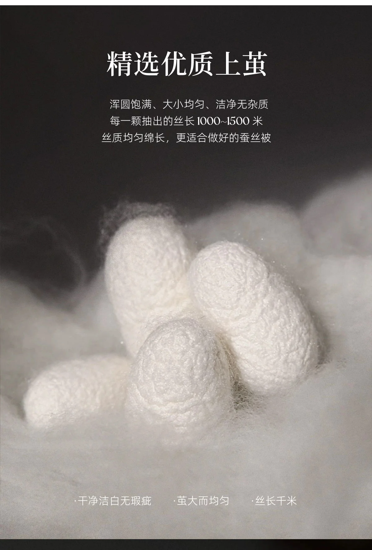【中国直邮，时效8-20天】万事利 100%桑蚕丝低敏蚕丝被 立体提花四季被 万事顺意蚕丝被 220*240cm（1500g） 详情图 11