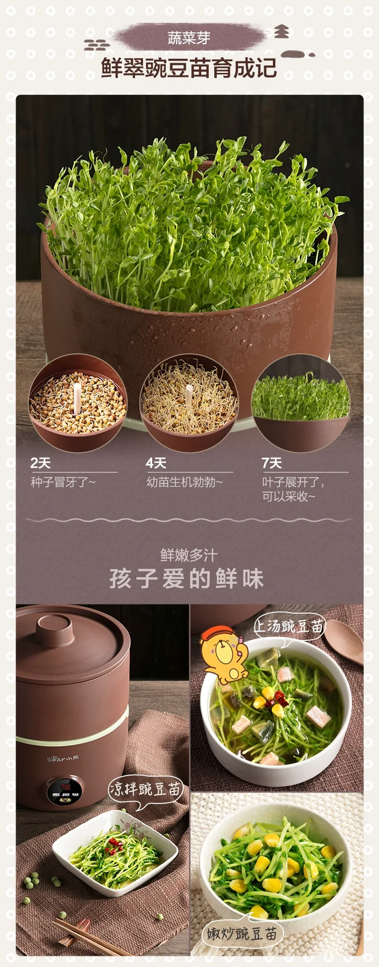 Bear Household automatic bean sprouts DYJ-B01C1, purple sand ceramic pot, power off memory detail image 10