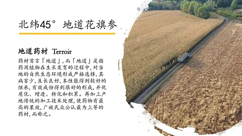 许氏（Hsu’s）美国威斯康辛州西洋参中片4盎司 详情图 3
