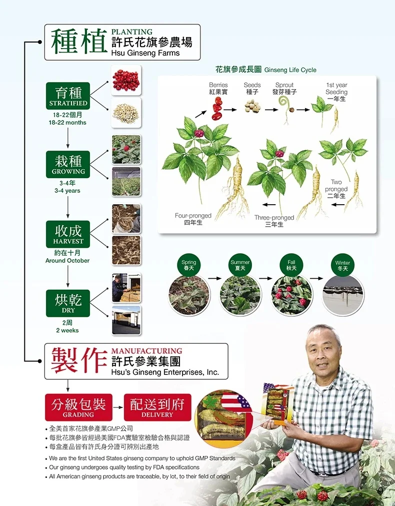 许氏（Hsu’s）美国威斯康辛州西洋参 中小混合片 买三送一 4盎司X 4 detail image 3