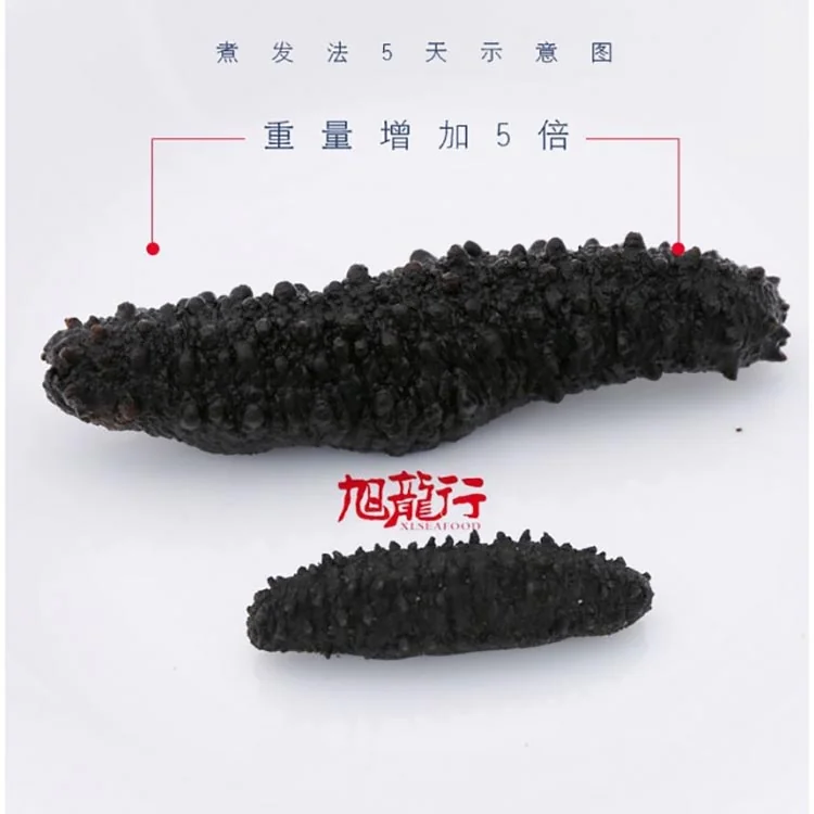 XLSEAFOOD Sun Dried Wild Caught Black pin Atlantic Sea Cucumber AAAA Grade detail image 6