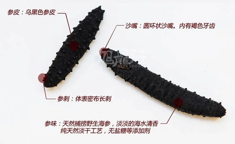 XLSEAFOOD Sun Dried Wild Caught Black pin Atlantic Sea Cucumber AAAA Grade detail image 5