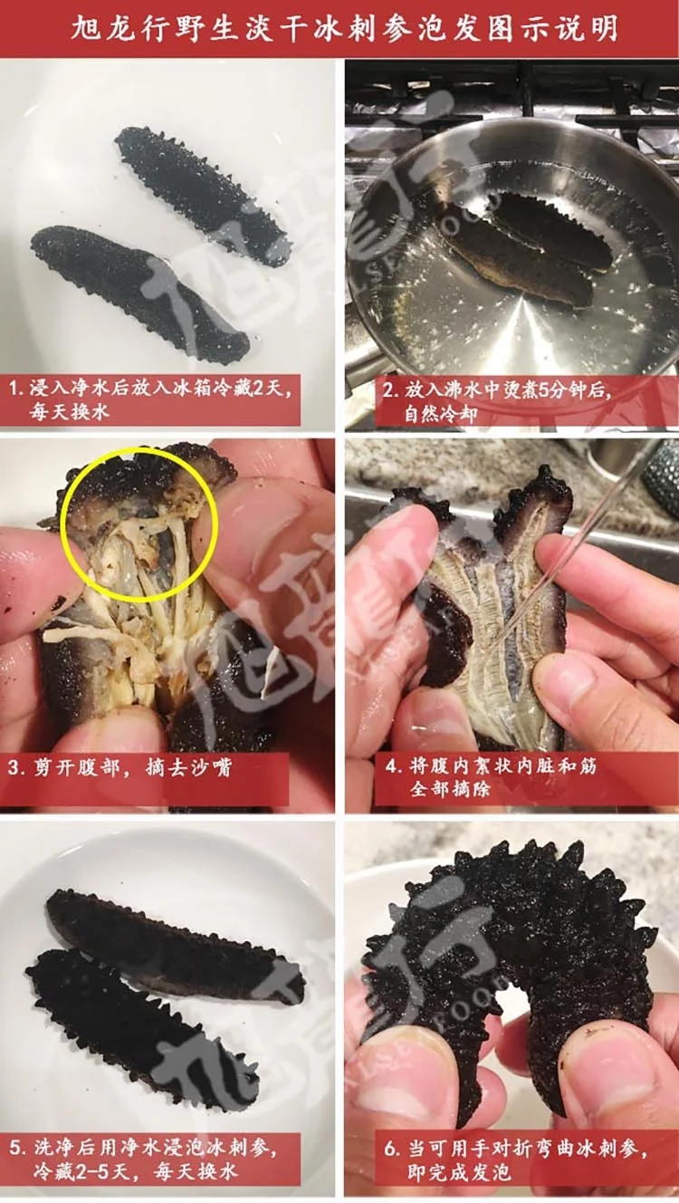 XLSEAFOOD Sun Dried Wild Caught Black pin Atlantic Sea Cucumber AAAA Grade detail image 8