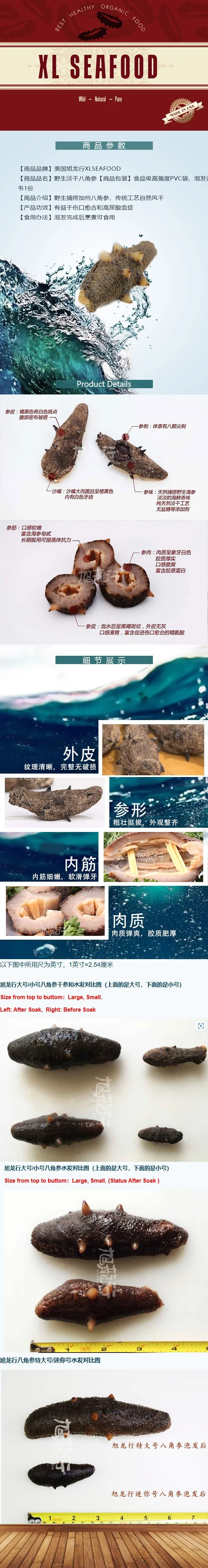 XLSEAFOOD Wild Dried American warty sea cucumber,Nourishing Beauty, Good quality ,First Class 0.5 lb detail image 1