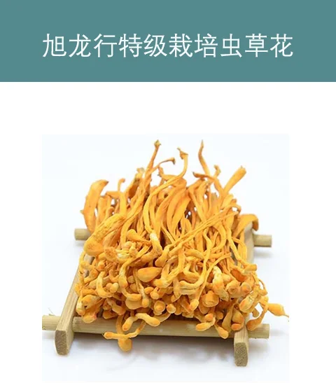 XLSEAFOOD Cordyceps Flower, Beneficial liver and kidney, no added premium, One pound detail image 1