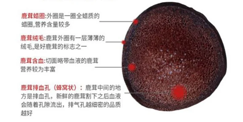 XLSEAFOOD Northeast China Jilin Sika Deer Antler Dry Tablets, Strengthen Kidney Yang, Replenish Essence, 38g (1.3oz) detail image 3