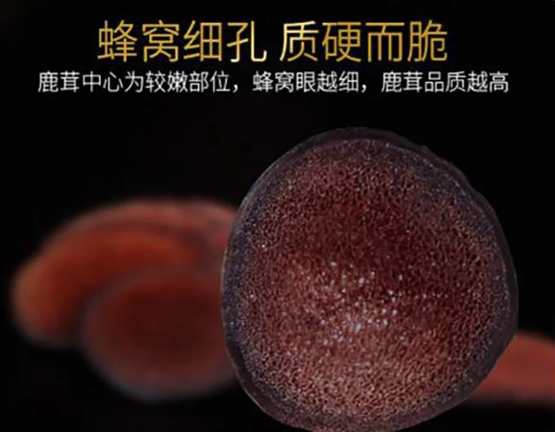 XLSEAFOOD Northeast China Jilin Sika Deer Antler Dry Tablets, Strengthen Kidney Yang, Replenish Essence, 38g (1.3oz) detail image 6