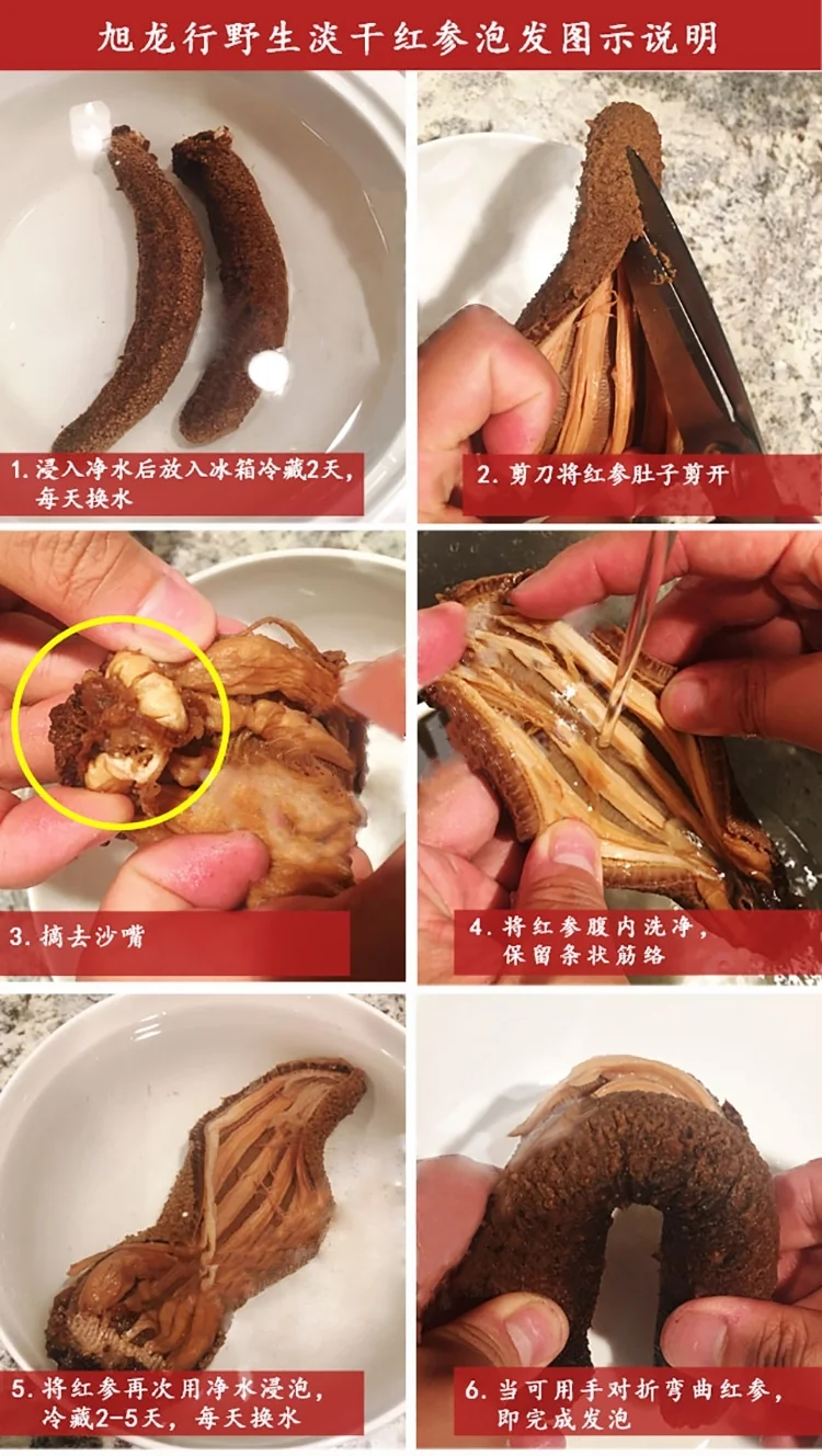 XLSeadfood AAA Grade Dried Alaska Sea Cucumber detail image 12