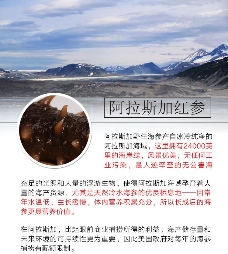 XLSeadfood AAA Grade Dried Alaska Sea Cucumber detail image 3