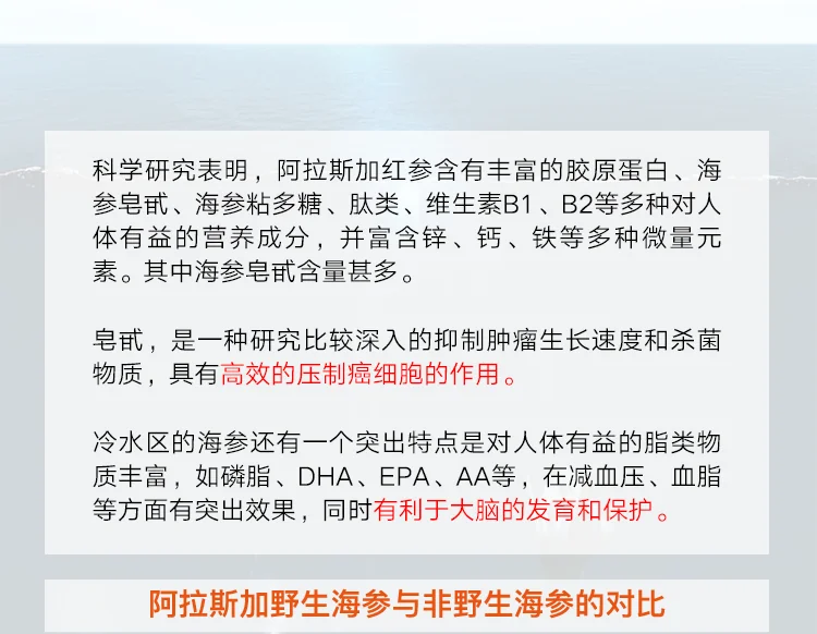 XLSeadfood AAA Grade Dried Alaska Sea Cucumber detail image 9