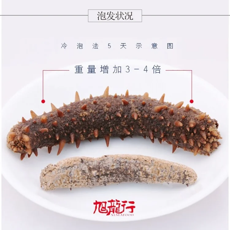 XLSeadfood AAA Grade Dried Alaska Sea Cucumber detail image 11