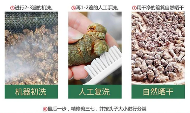 XLSEAFOOD China Yunnan Tianqi Sanqi Tablets, dispel wind and clear heat, calm liver and improve eyesight, special grade, 8oz (0.5lb) detail image 4