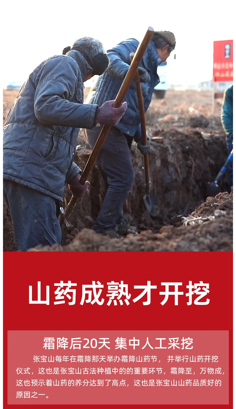 【中国直邮，时效5-12天】张宝山 古法七白饮300g*2盒 营养脾胃早餐杏仁粉 山药百合燕麦代餐粉 detail image 8