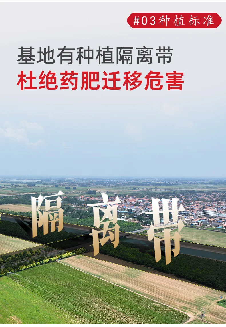 张宝山铁棍山药粉怀山药早餐脾胃养代餐粉老年人营养品600g*2罐（共1200g） detail image 5