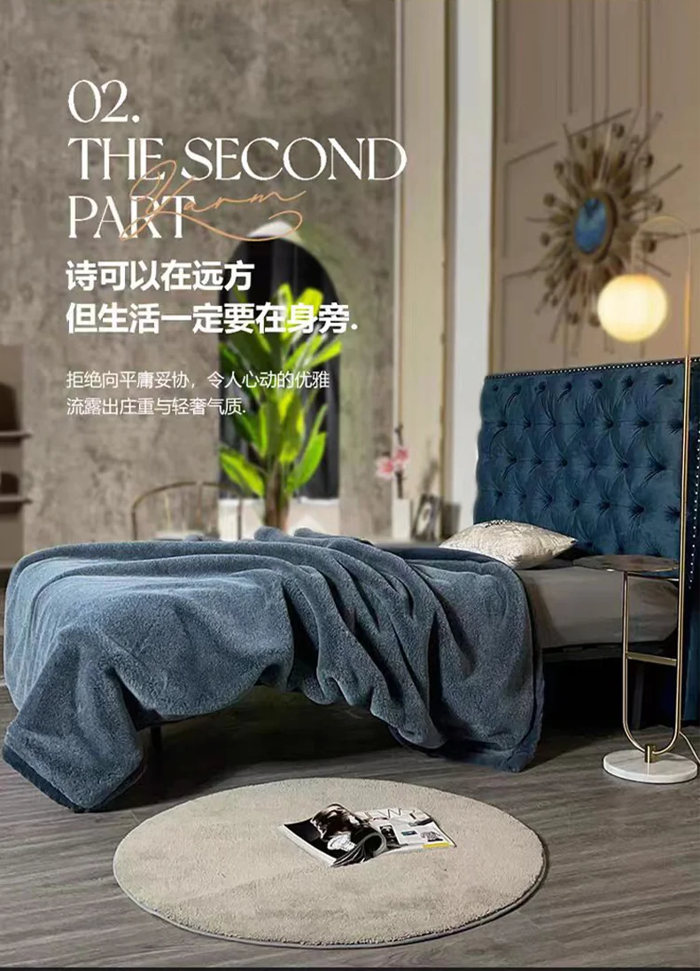 【中国直邮，时效8-20天】真爱毛毯 摩登时代奢华仿貂绒毯子 高克重仿貂毛面料 一触即暖 200*230cm 详情图 1