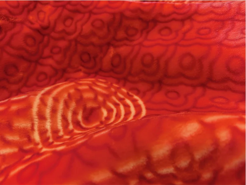 [China Direct Mail, Delivery Time 8-20 Days] Zhen'ai Blanket Modern Era Luxurious Faux Mink Fleece Blanket High Gram Weight Faux Mink Fabric Warm at First Touch 200*230cm detail image 9