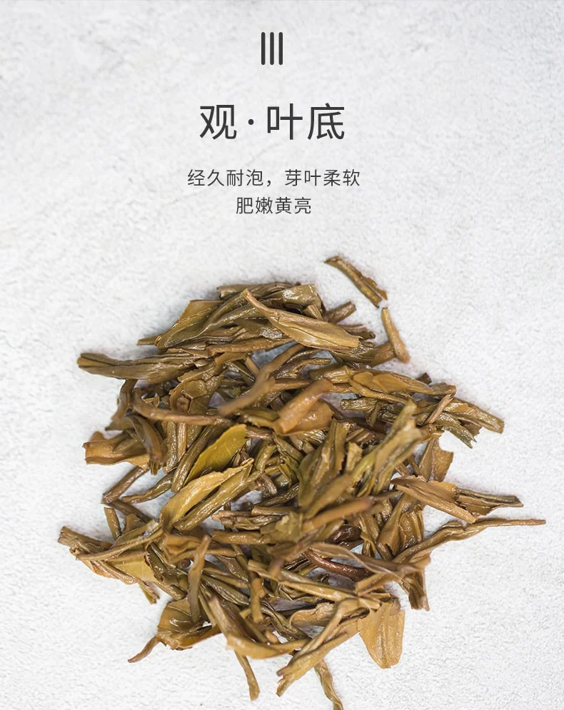 Zhang Yiyuan Special Jasmine Mao Jian Flower Tea Rich and long-lasting aroma on the lips Golden Can 200g detail image 5