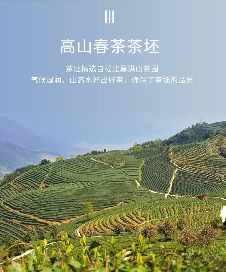 Zhang Yiyuan Special Jasmine Mao Jian Flower Tea Rich and long-lasting aroma on the lips Golden Can 200g detail image 6