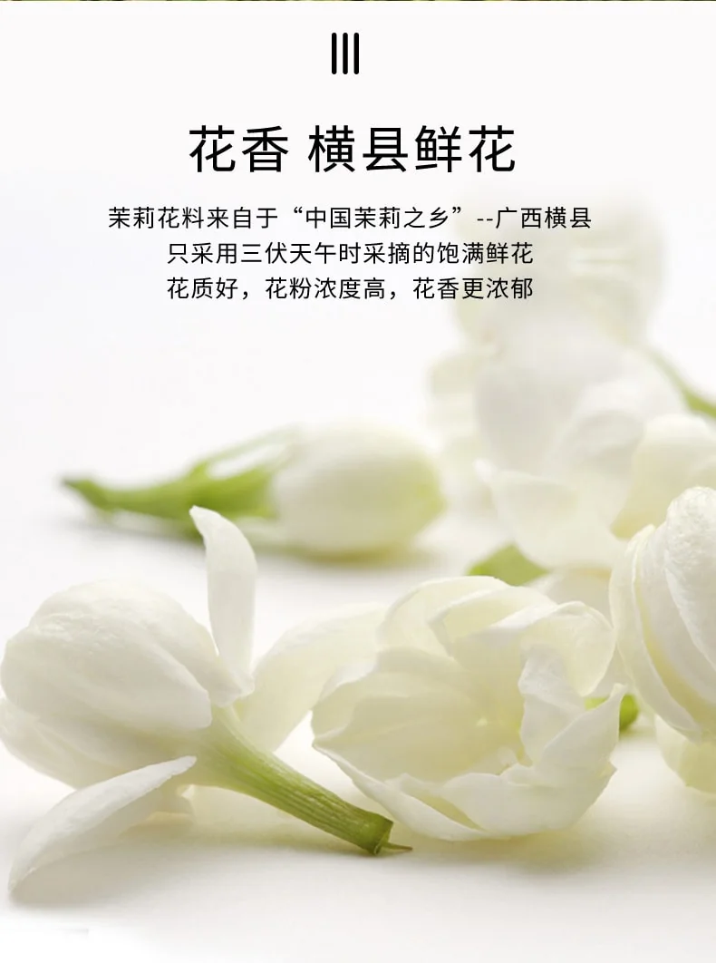 Zhang Yiyuan Special Jasmine Mao Jian Flower Tea Rich and long-lasting aroma on the lips Golden Can 200g detail image 7