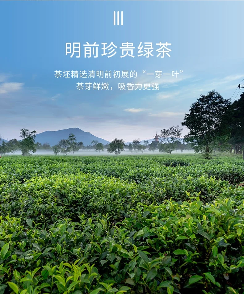 Zhang Yiyuan Gold Medal Tea Special Jasmine Longhao Long-steeped, fat, tender and even bright Chinese red canister 100g detail image 6