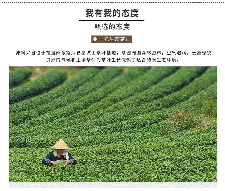 Zhang Yiyuan Gold Medal Tea Special Jasmine Longhao Freshness and richness 8 times kiln made Portable 48g detail image 15