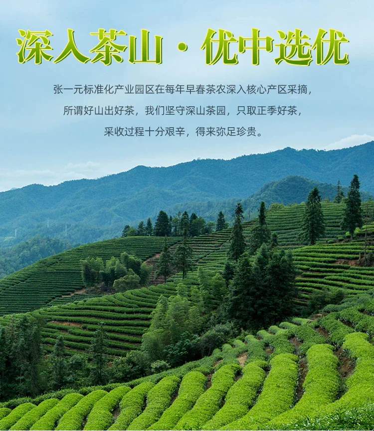 Zhang Yiyuan Jasmine Tea (Fragrant Tea) Strong Aroma Fresh & Tender Long Lasting Bags 50g detail image 3