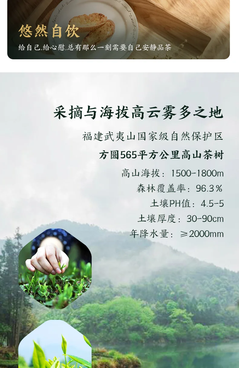 正山堂  正山小种红茶 特级烟熏 产地中国福建 50g 罐装 详情图 5