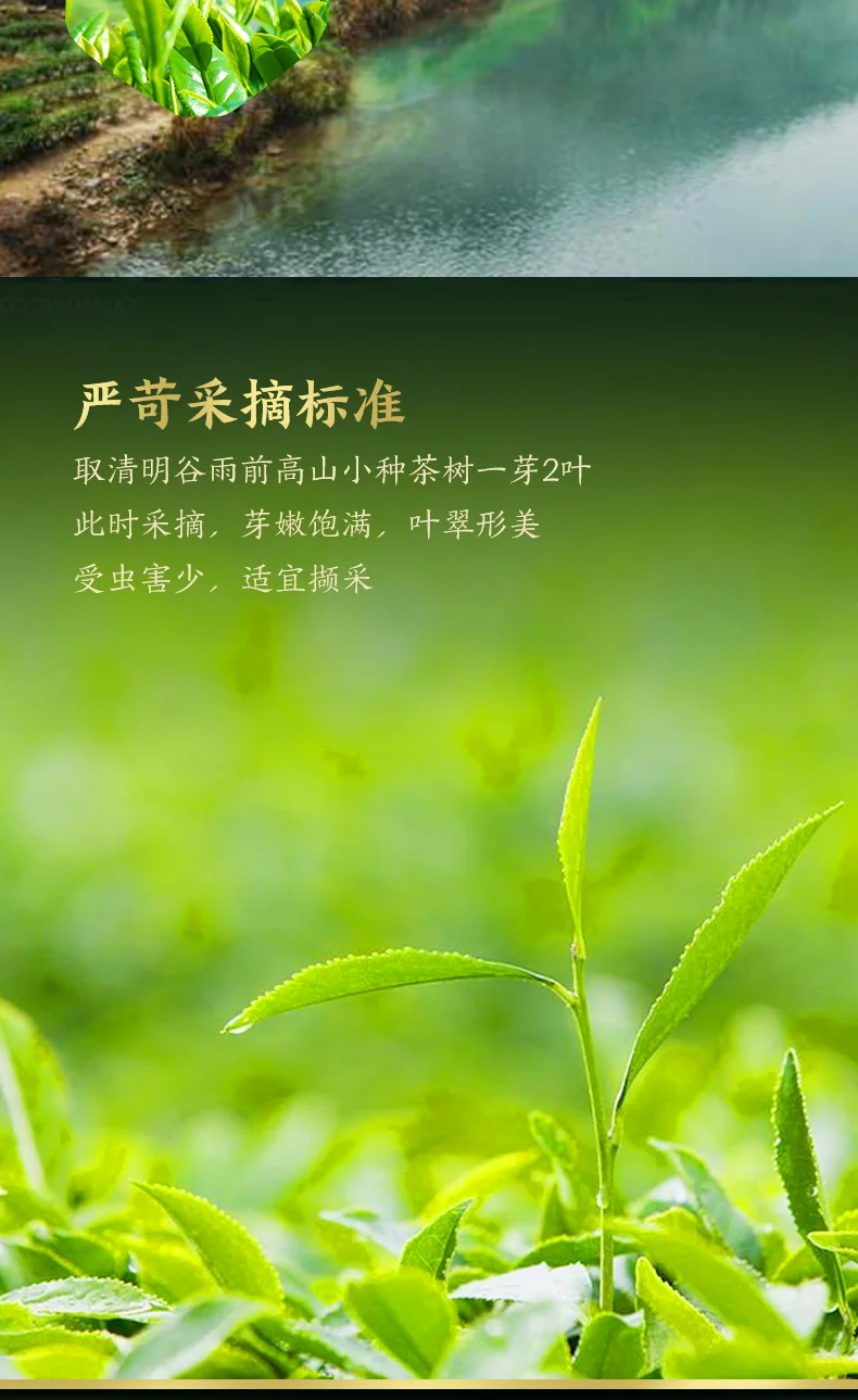 正山堂  正山小种红茶 特级烟熏 产地中国福建 50g 罐装 详情图 6