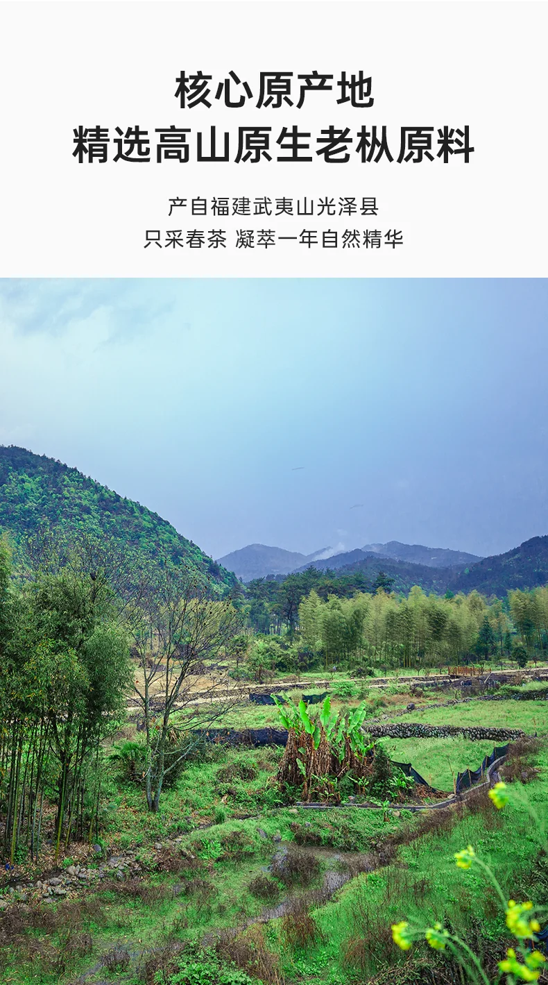 Zhengshantang Lepu Mountain Tea · Jasmine-dyed Junmei · Jasmine Black Tea 50g *3 cans detail image 5
