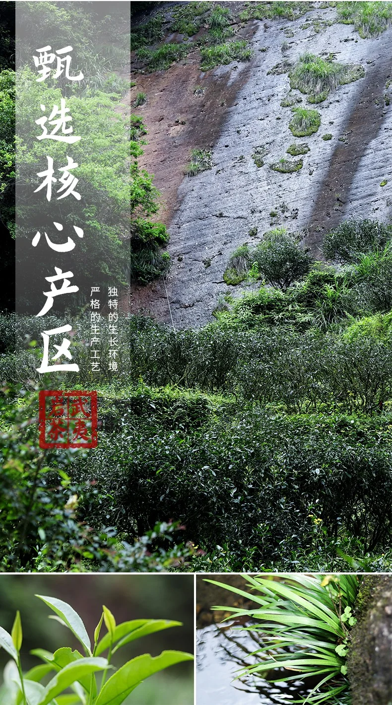 Zhengshantang Wuyi rock tea Dahongpao tea Premium Oolong Tea dark brown mellow taste  Gift Box detail image 5