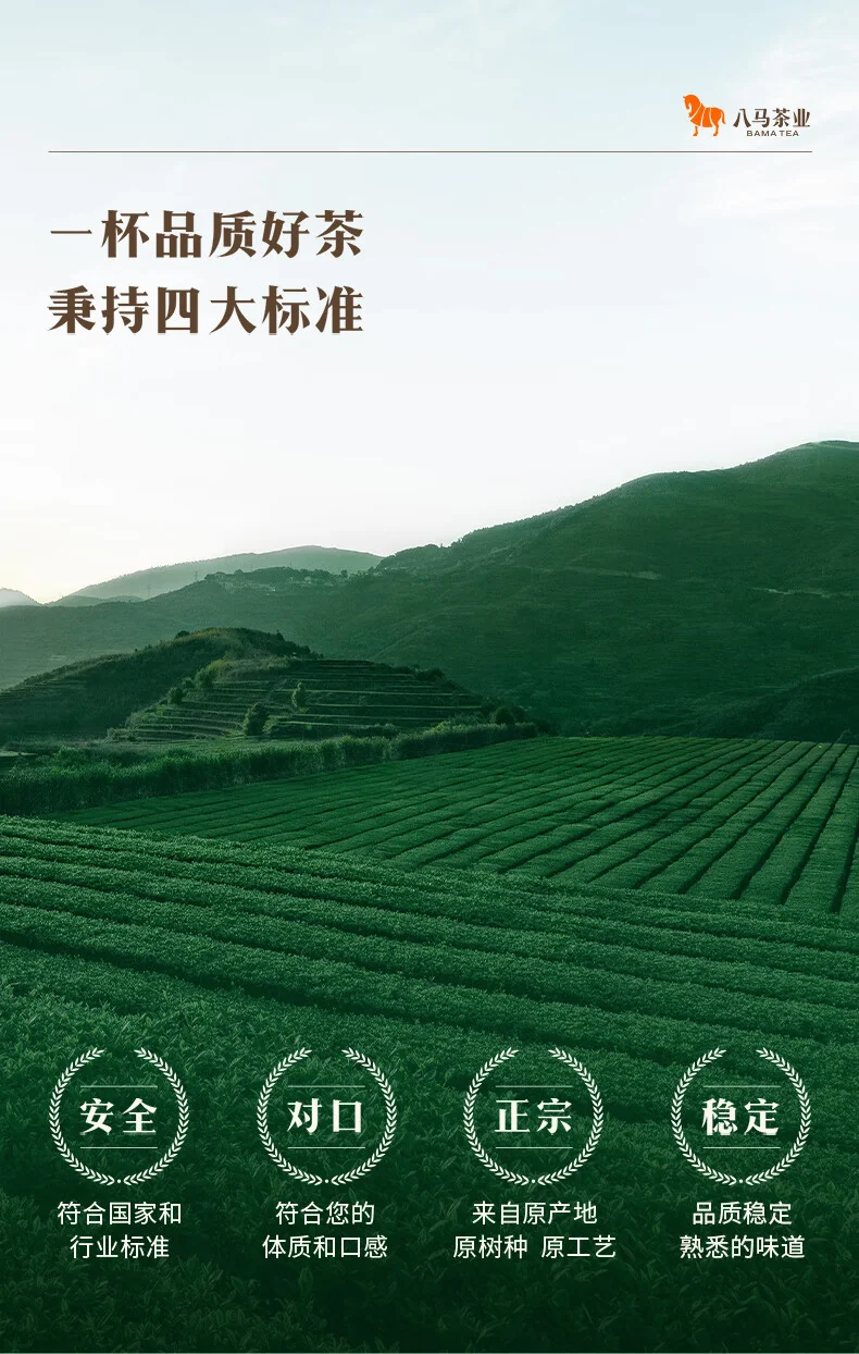 【中国直邮，时效7-15天】八马茶业 特级铁观音赛珍珠 安溪铁观音 浓香型乌龙茶送礼高端茶叶礼盒 【赛珍珠5800】75g 详情图 11