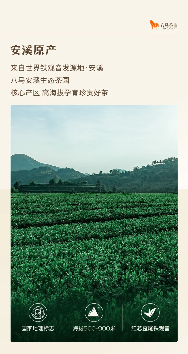 【中国直邮，时效7-15天】八马茶业 特级铁观音赛珍珠 安溪铁观音 浓香型乌龙茶送礼高端茶叶礼盒 【赛珍珠5800】75g 详情图 7
