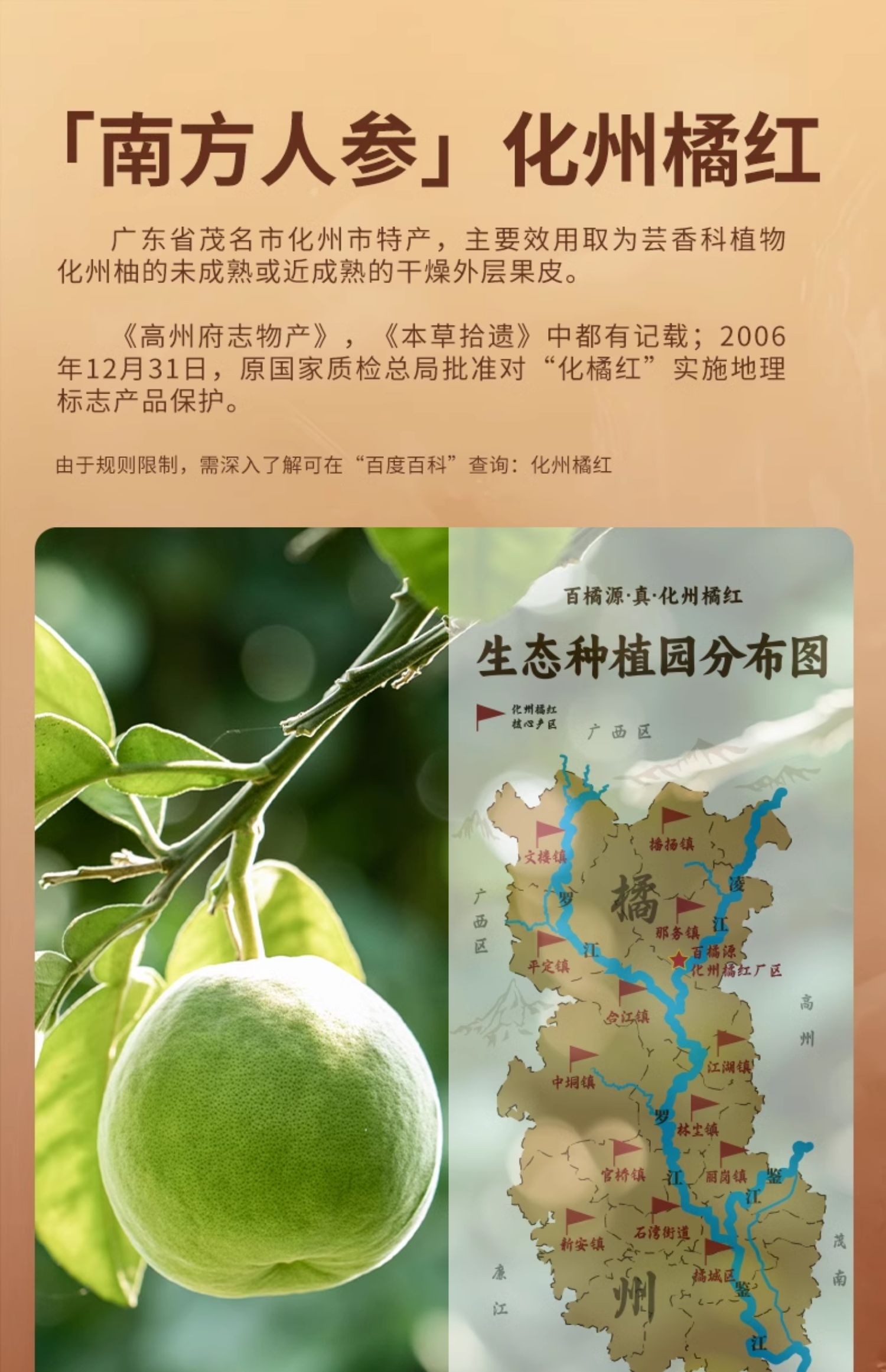 百橘源橘红皮果皮金胎6号1mm产品图