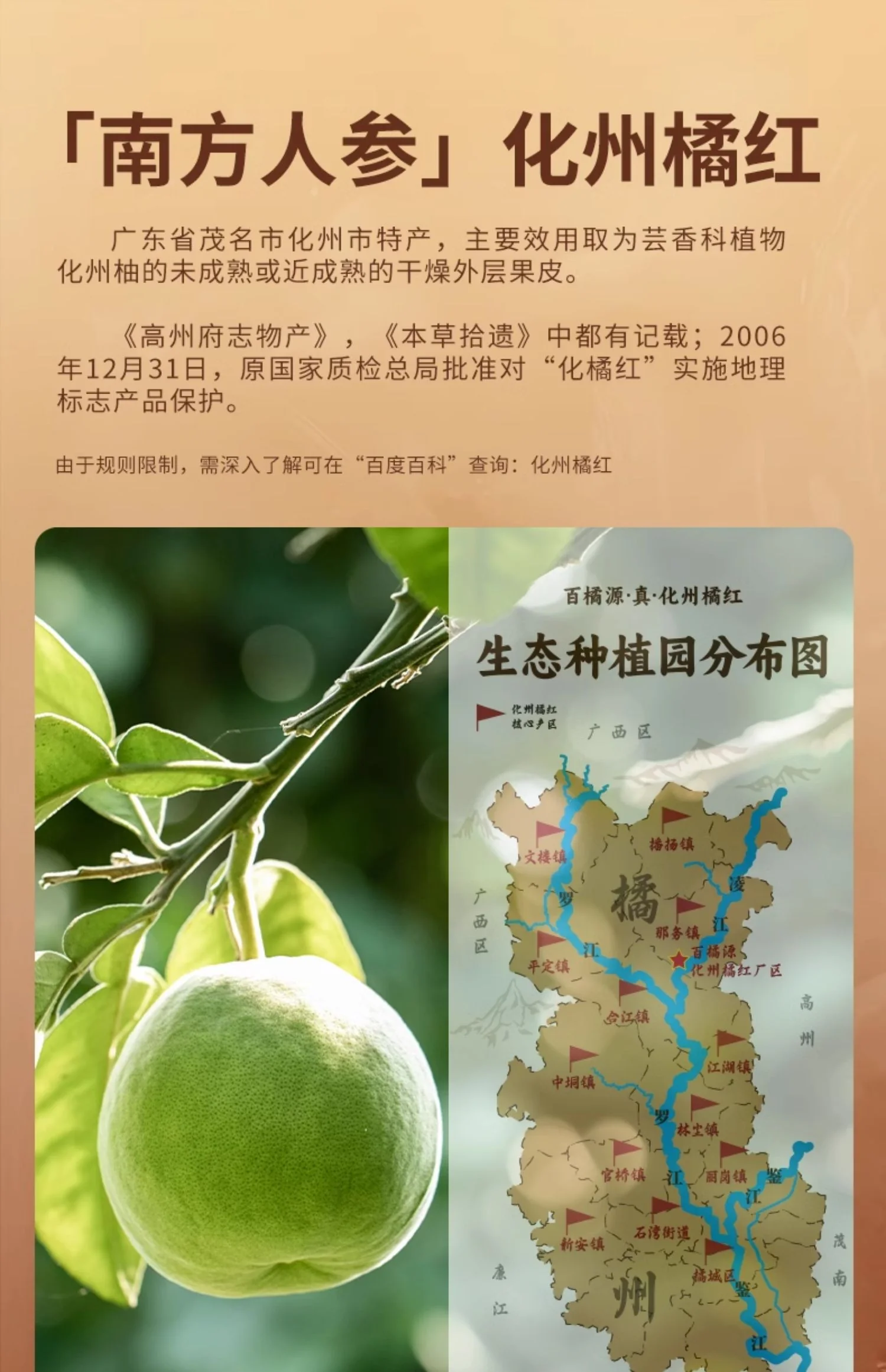 百橘源橘红皮果皮金胎6号1mm产品图