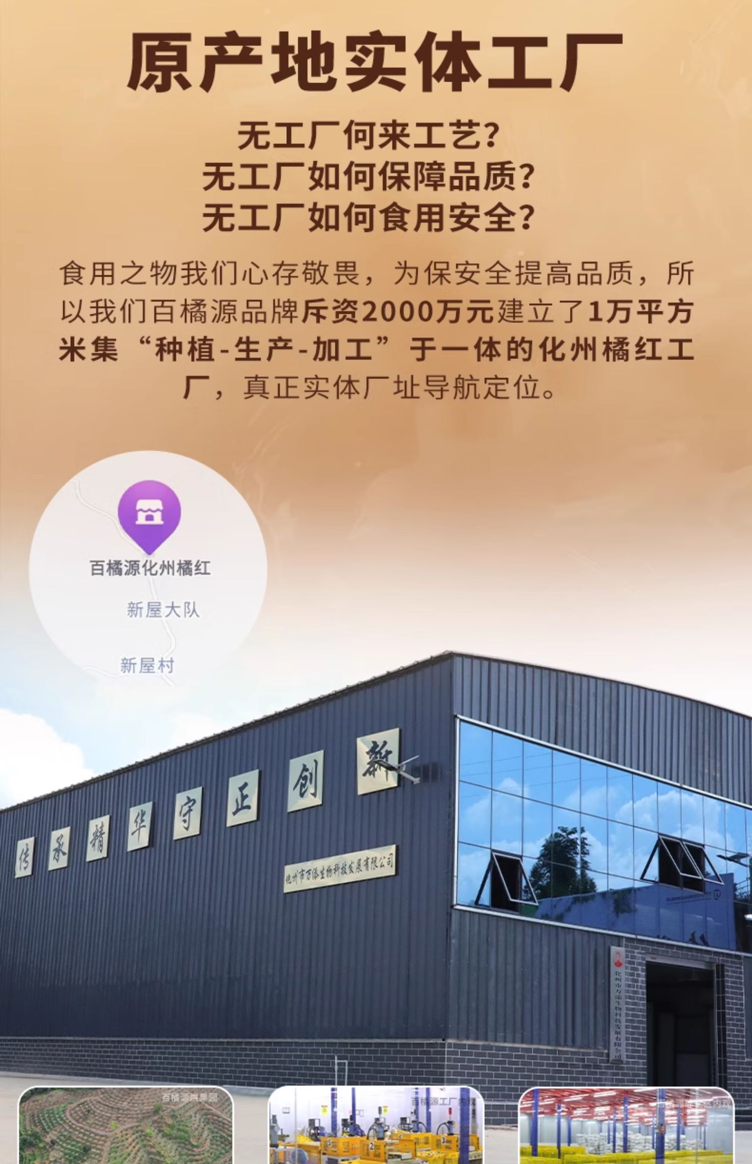 百橘源橘红皮果皮金胎6号1mm产品图