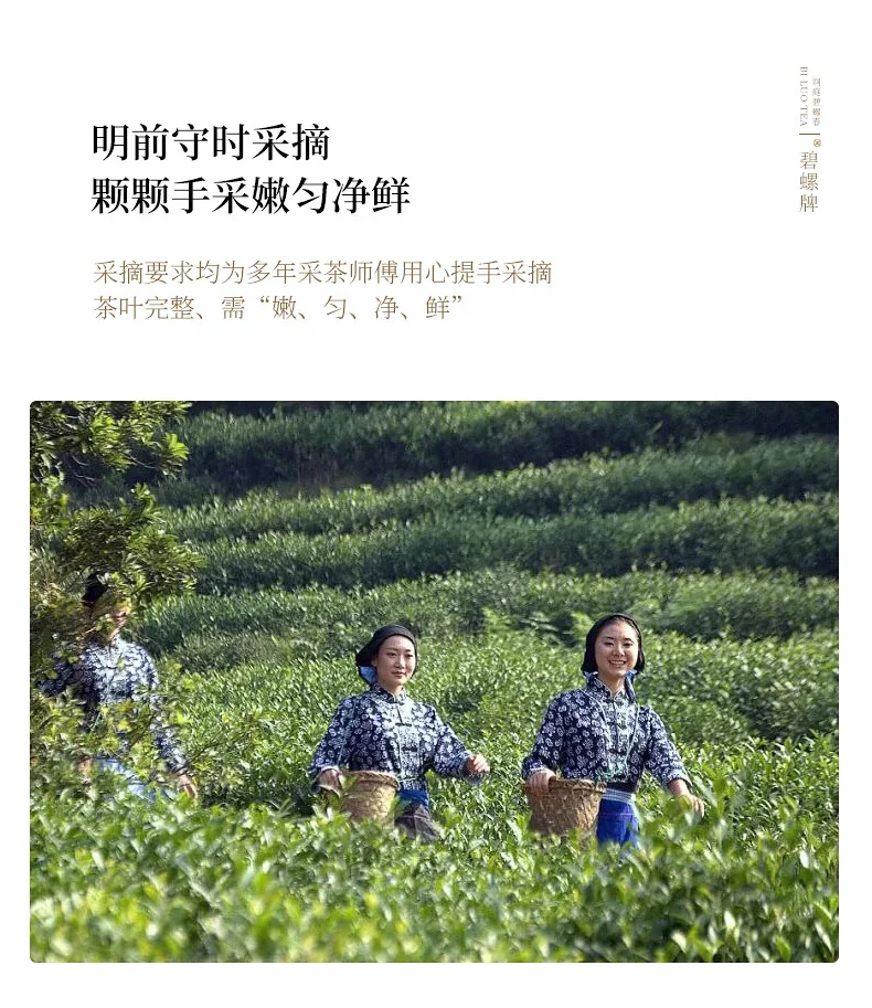 【中国直邮，时效5-12天】碧螺2026年春茶绿茶苏州洞庭碧螺春嫩香绿茶一级AAA100g明前新茶罐装 detail image 7