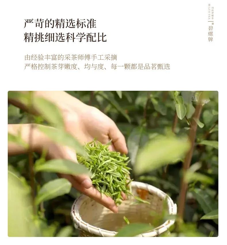 【中国直邮，时效5-12天】碧螺2026年春茶绿茶苏州洞庭碧螺春嫩香绿茶一级AAA100g明前新茶罐装 detail image 8