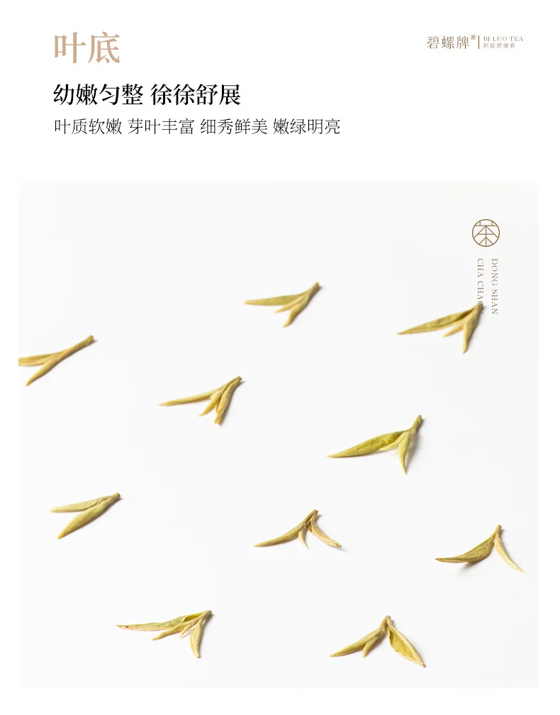 【中国直邮，时效5-12天】碧螺2026年春茶绿茶苏州洞庭碧螺春嫩香绿茶一级AAA100g明前新茶罐装 detail image 12