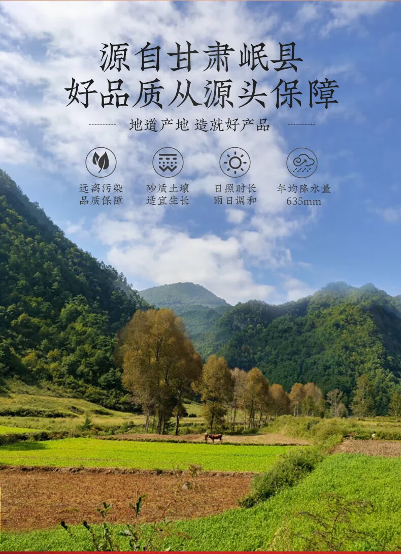 [Direct shipping from China, delivery in 5–12 days] Caojinghua Astragalus (Broken-Cell Wall TCM Granules); Herbal blend of Astragalus, Angelica Sinensis (Dang Gui), and Codonopsis (Dang Shen). detail image 12