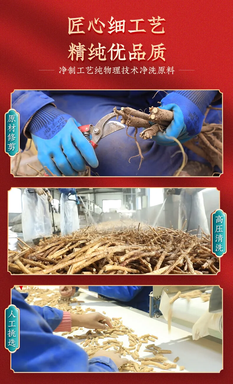 [Direct shipping from China, delivery in 5–12 days] Caojinghua Astragalus (Broken-Cell Wall TCM Granules); Herbal blend of Astragalus, Angelica Sinensis (Dang Gui), and Codonopsis (Dang Shen). detail image 13
