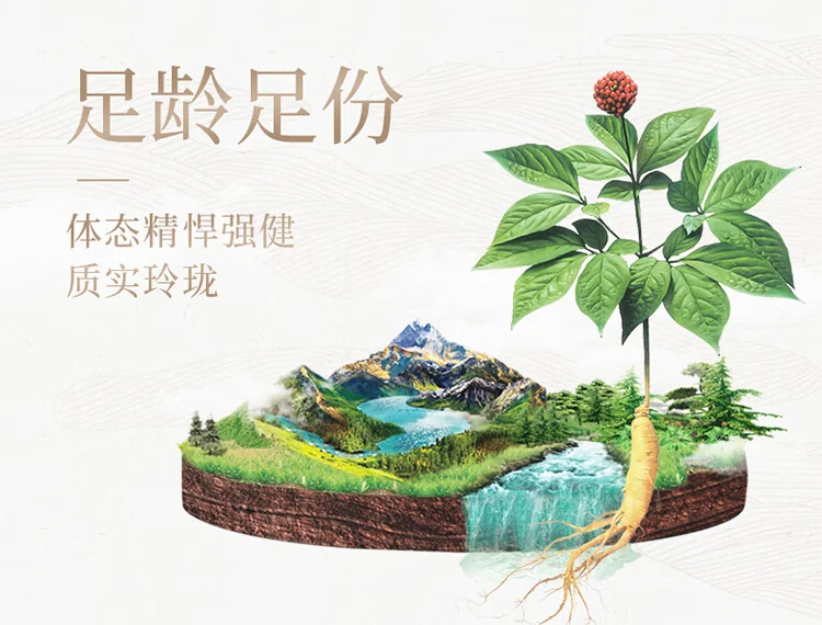 【中国直邮，时效7-15天】长白山人参 官方15年及以上野山参礼盒【附野山参鉴定证书】   礼盒装 5g*1盒 详情图 3