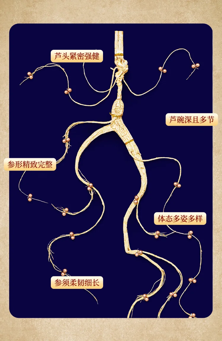 【中国直邮，时效7-15天】长白山人参 官方15年及以上野山参礼盒【附野山参鉴定证书】   礼盒装 5g*1盒 详情图 9