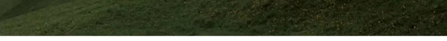 蚕花娘娘 蚕丝被100%桑蚕丝天丝面料可水洗夏被空调被（单件被子）流银夏绿色/黄色 200*230cm 300g detail image 8
