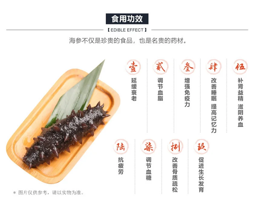 德成行 G10加勒比海 彩虹参海参 高蛋白 低脂肪 16oz detail image 4