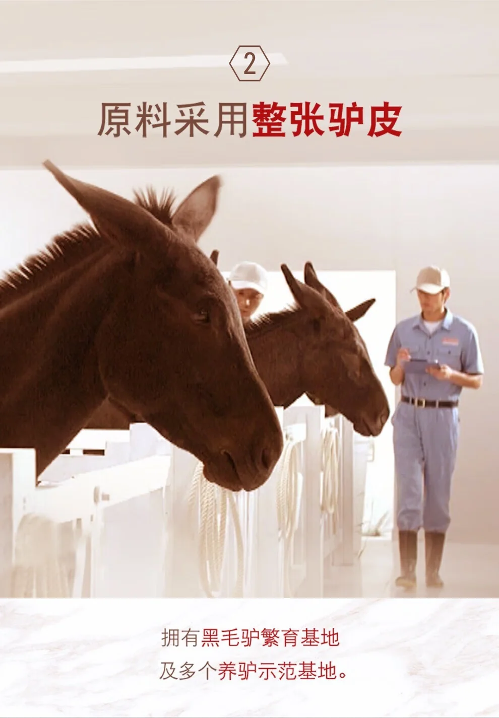 东阿阿胶 东阿阿胶片240g 滋阴润燥 正品阿胶块 年货礼盒（加州不发货） detail image 7